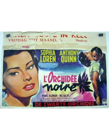 THE BLACK ORCHID