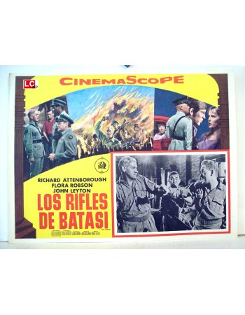 Guns at Batasi
