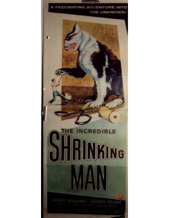 THE INCREDIBLE SHRINKING MAN