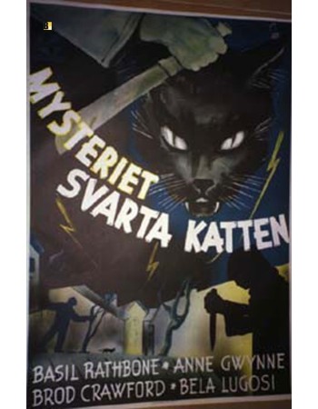 THE BLACK CAT