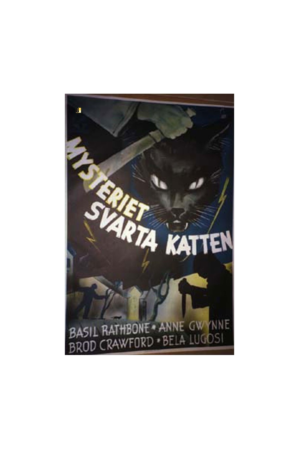 THE BLACK CAT