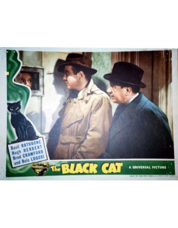 THE BLACK CAT