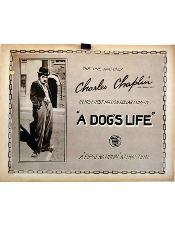 A DOG'S LIFE