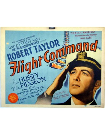 FLIGHT COMMAND