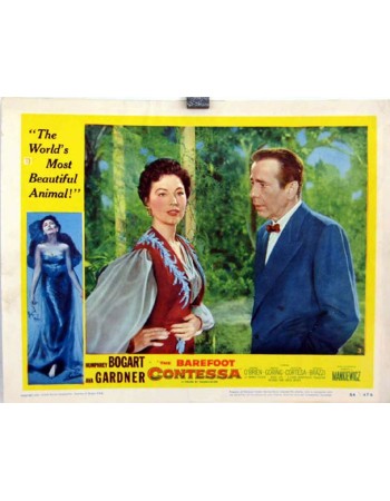 THE BAREFOOT CONTESSA