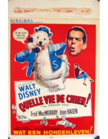 THE SHAGGY DOG