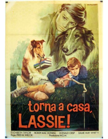 LASSIE COMES HOME