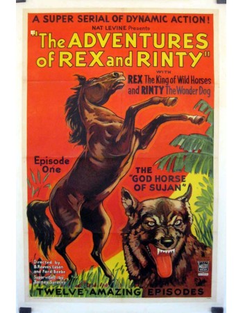 THE ADVENTURES OF REX AND RINTY