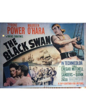 THE BLACK SWAN