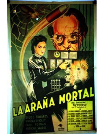 THE BLACK WIDOW