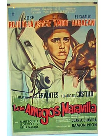 LOS AMIGOS MARAVILLA
