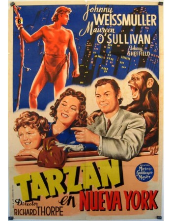 TARZAN'S NEW YORK ADVENTURE