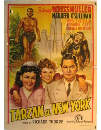TARZAN'S NEW YORK ADVENTURE
