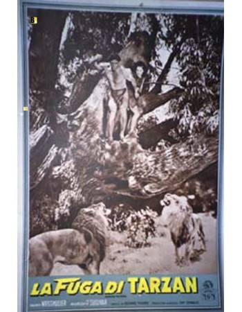 TARZAN ESCAPES