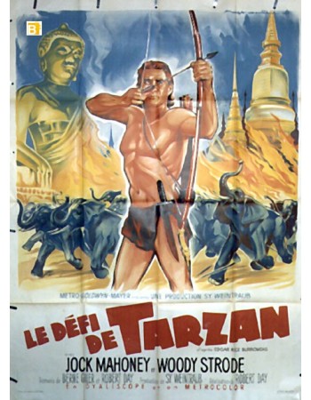 TARZAN'S THREE CHALLENGES