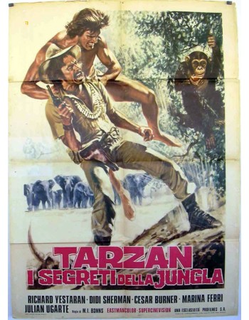 TARZÁN Y EL MISTERIO DE LA SELVA