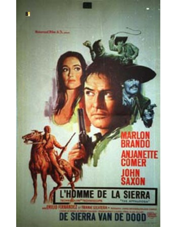 THE APPALOOSA