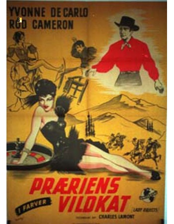 THE LADY OBJECTS