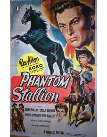 PHANTOM STALLION