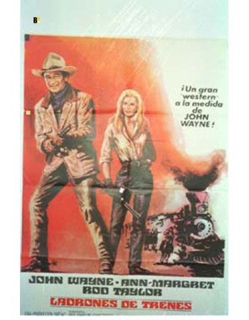 THE TRAIN ROBBERS