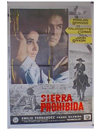 THE APPALOOSA