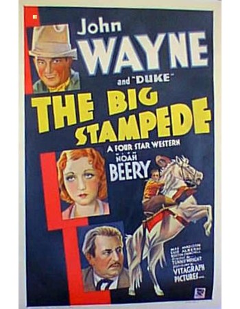 THE BIG STAMPEDE
