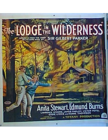 THE LODGE IN THE WILDERNES