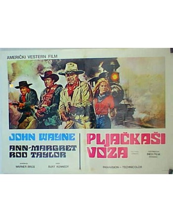 THE TRAIN ROBBERS