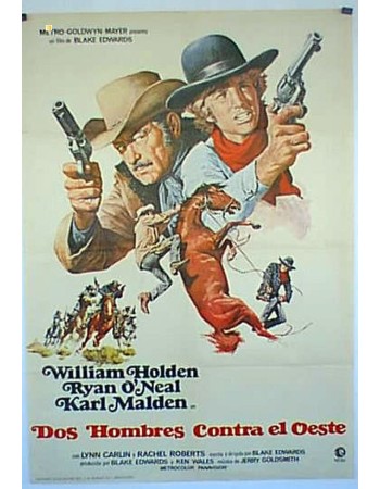 WILD ROVERS