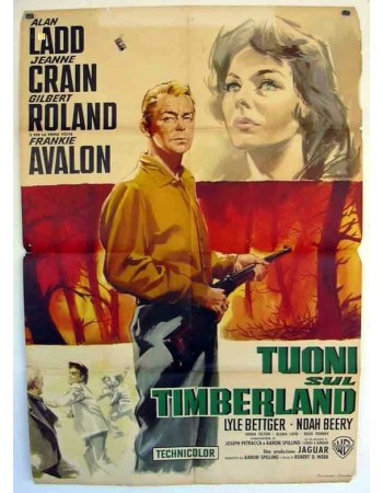 GUNS OF THE TIMBERLAND