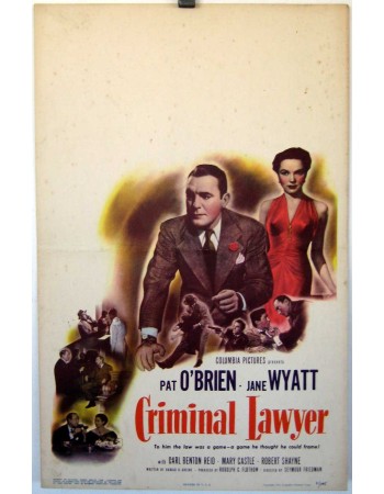 CRIMINAL LAWYER