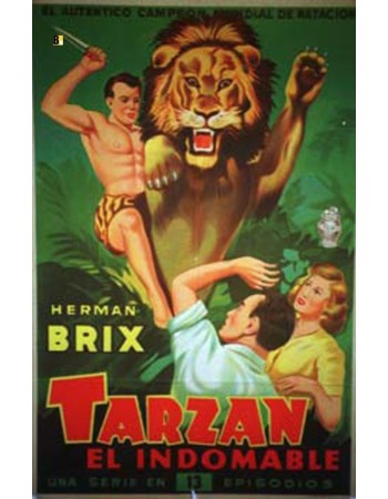 THE NEW ADVENTURES OF TARZAN