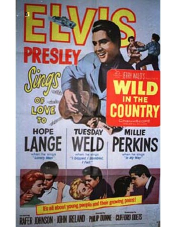 WILD IN THE COUNTRY