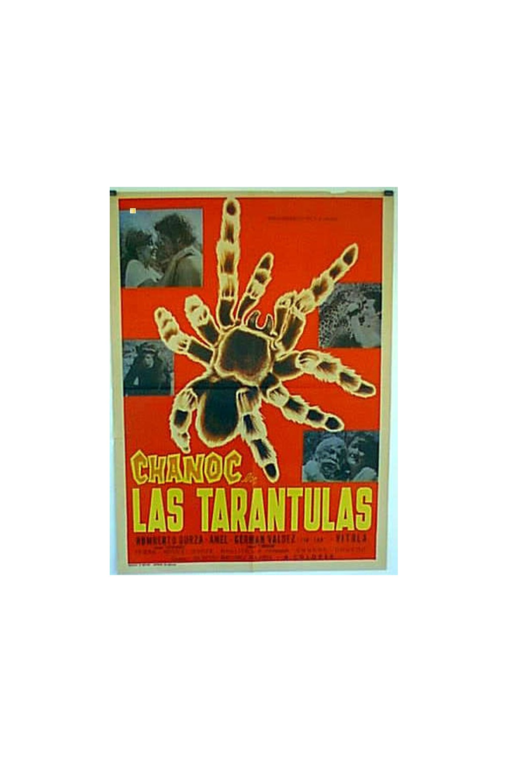 LAS TARANTULAS