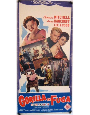 GORILLA AT LARGE