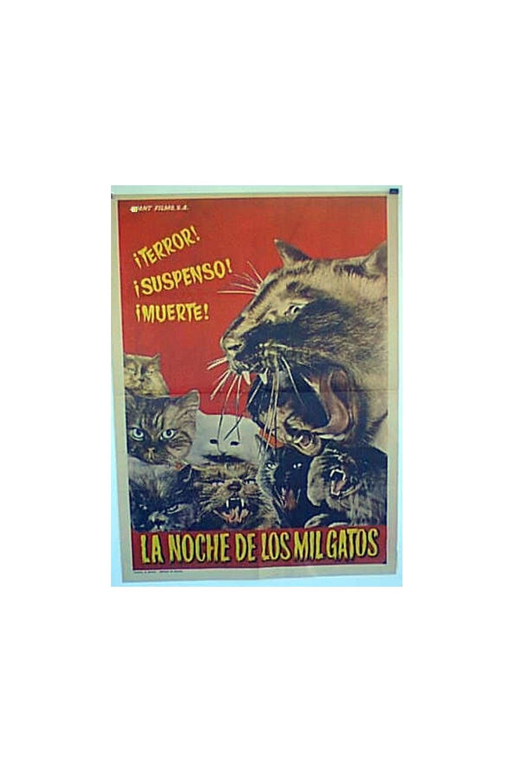 LA NOCHE DE LOS MIL GATOS