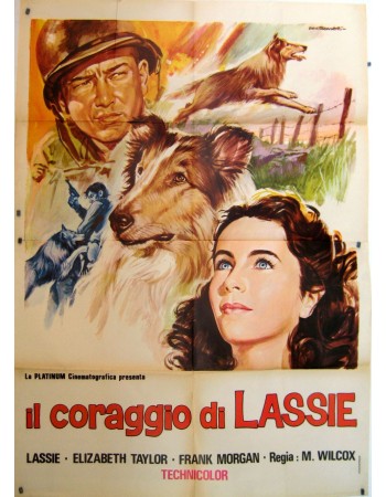 COURAGE OF LASSIE