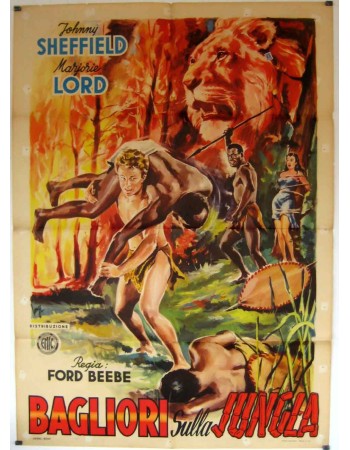 THE LOST VOLCANO