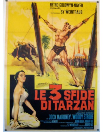 TARZAN'S THREE CHALLENGES