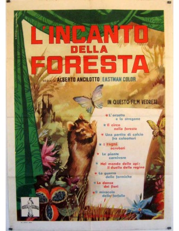 L'INCANTO DELLA FORESTA