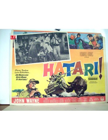 HATARI
