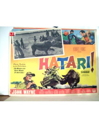 HATARI