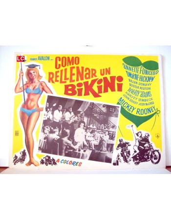 How to Stuff a Wild Bikini