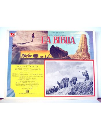 THE BIBLE