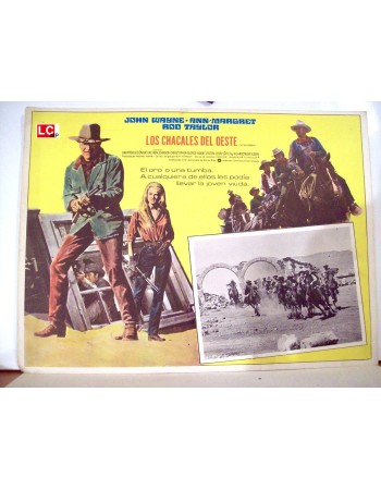 THE TRAIN ROBBERS