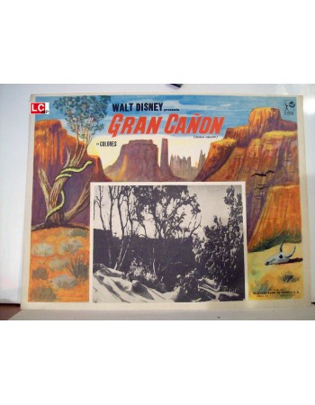 GRAND CANYON