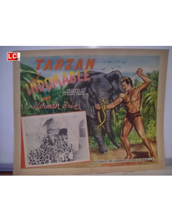THE NEW ADVENTURES OF TARZAN