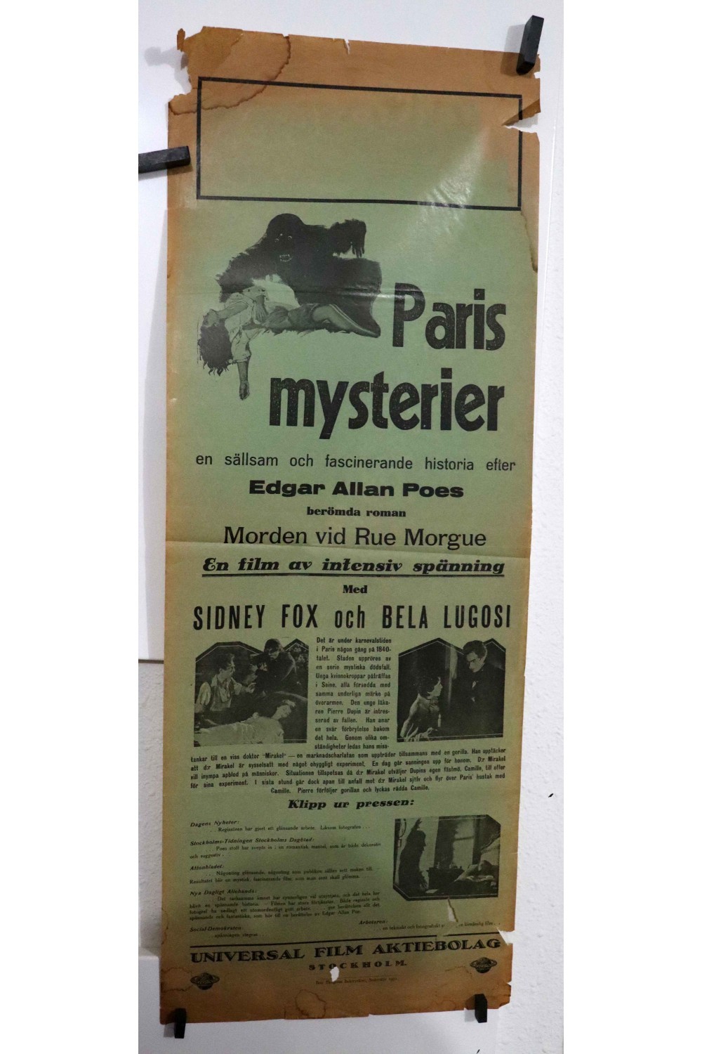 MURDERS IN THE RUE MORGUE