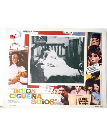ADIOS CIGUEÑA ADIOS