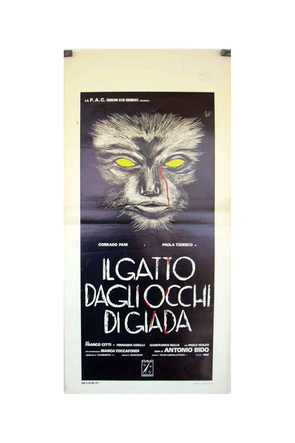 IL GATTO DAGLI OCCHI DI GIADA